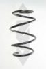SPIDAN 56969 Coil Spring